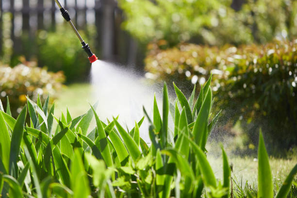 Tamper-Resistant Bait Stations for Rodents in Los Molinos