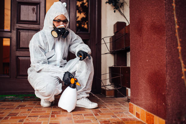 Attic and Crawl Space Rodent Treatment in Los Molinos